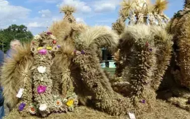 Dożynki Powiatowe 2018 w Gł&oacute;wczycach 6