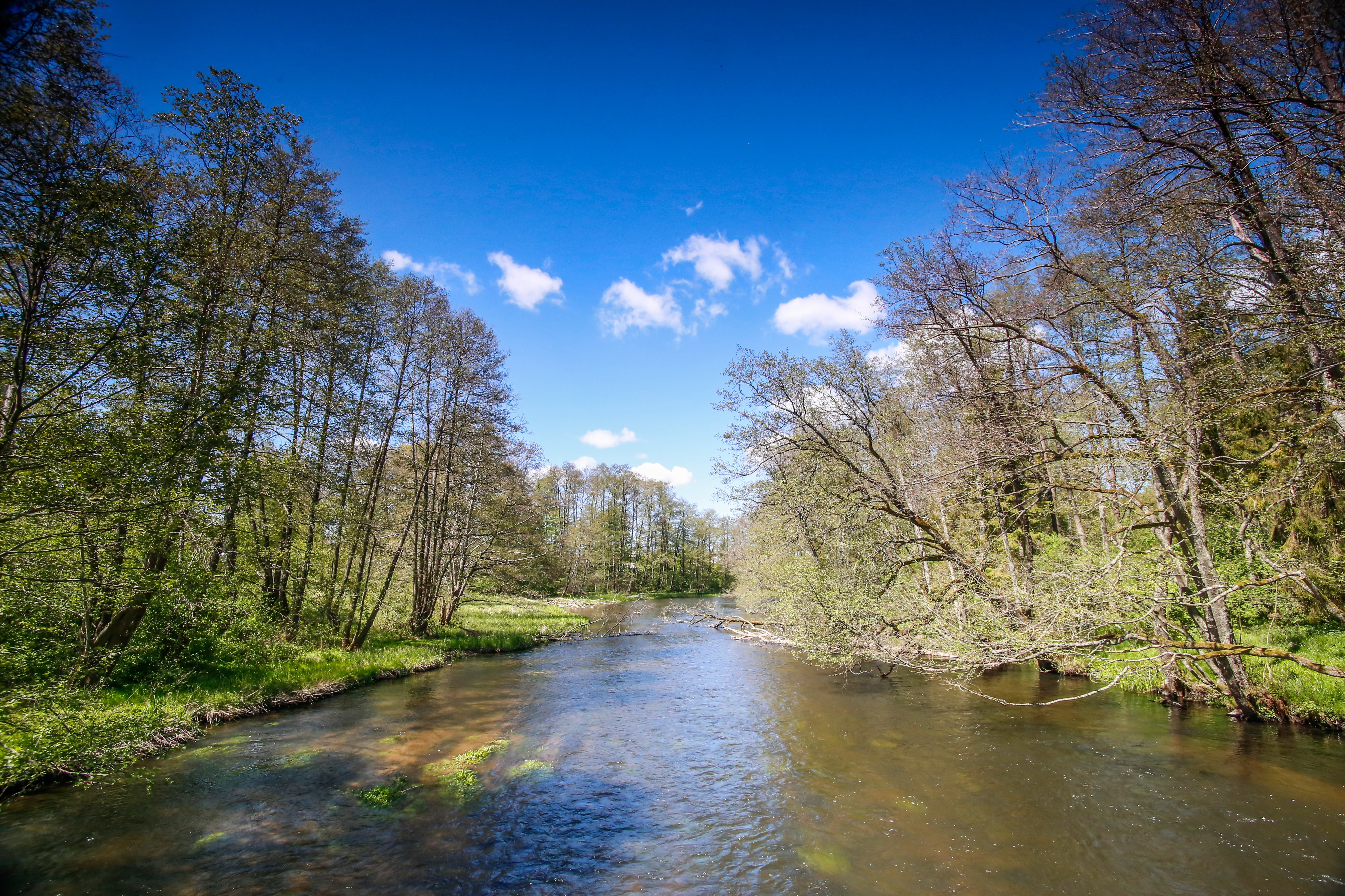 Wiosenne ujęcia dw&oacute;ch największych i&nbsp;najpiękniejszych rzek przepływających przez gminę Gł&oacute;wczyce!
