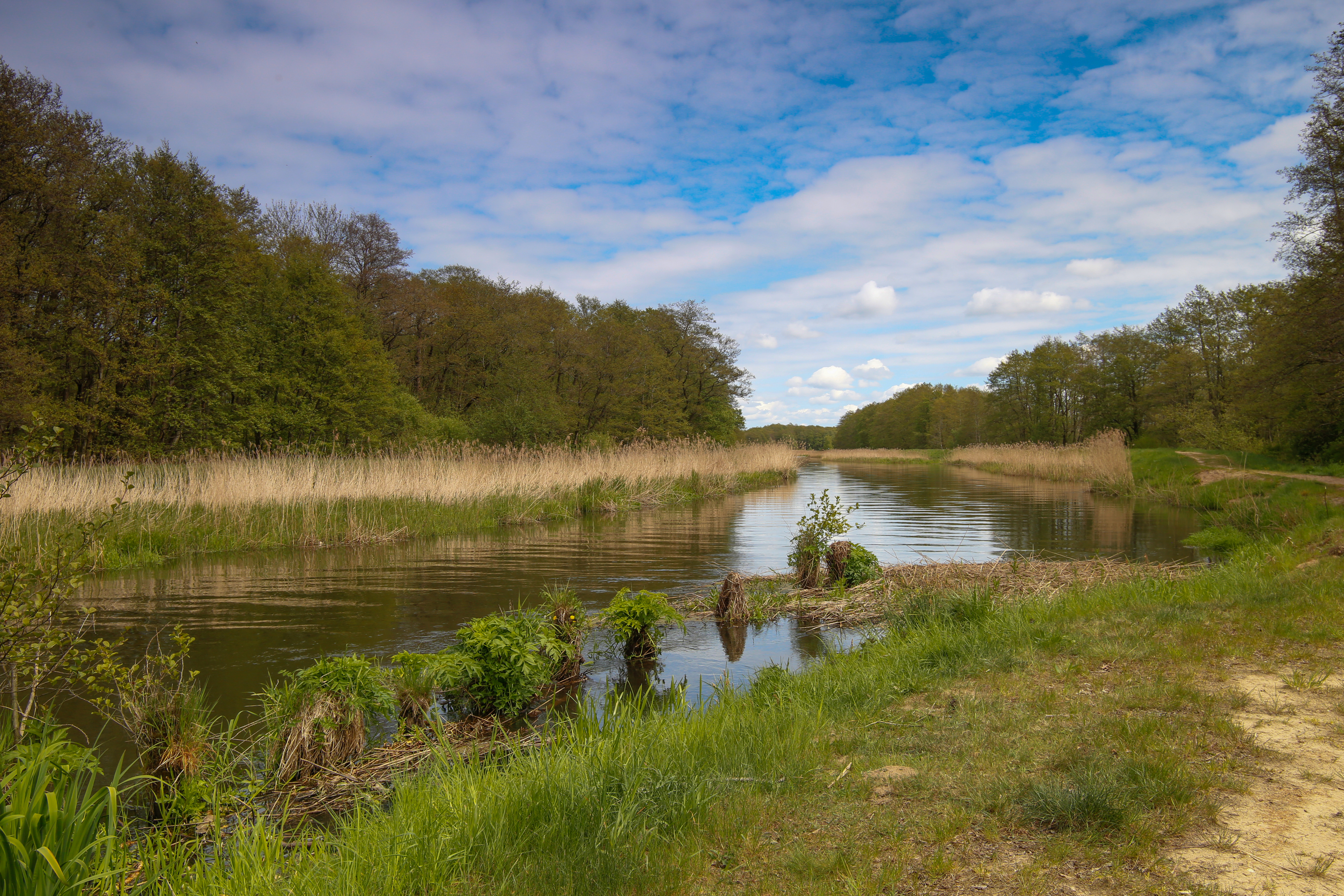 Wiosenne ujęcia dw&oacute;ch największych i&nbsp;najpiękniejszych rzek przepływających przez gminę Gł&oacute;wczyce!