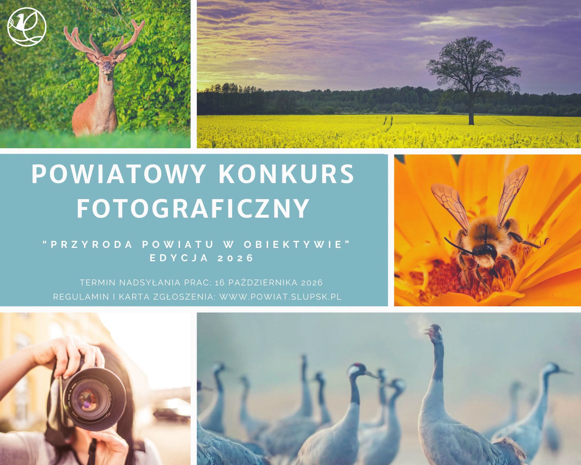 konkurs_foto_słupsk